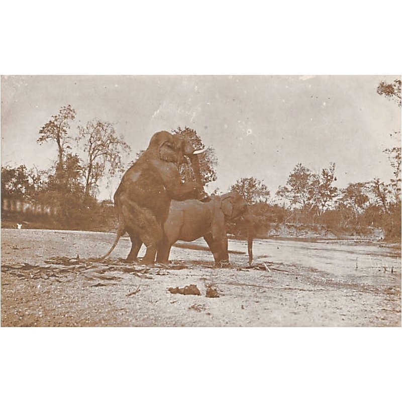 Rare collectable postcards of MALAYSIA. Vintage Postcards of MALAYSIA