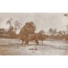 Rare collectable postcards of MALAYSIA. Vintage Postcards of MALAYSIA
