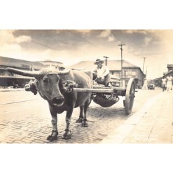 Rare collectable postcards of PHILIPPINES. Vintage Postcards of PHILIPPINES