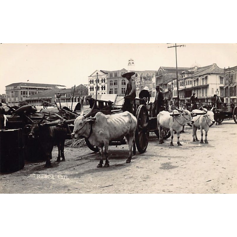 Rare collectable postcards of SINGAPORE. Vintage Postcards of SINGAPORE