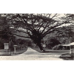 Rare collectable postcards of SINGAPORE. Vintage Postcards of SINGAPORE