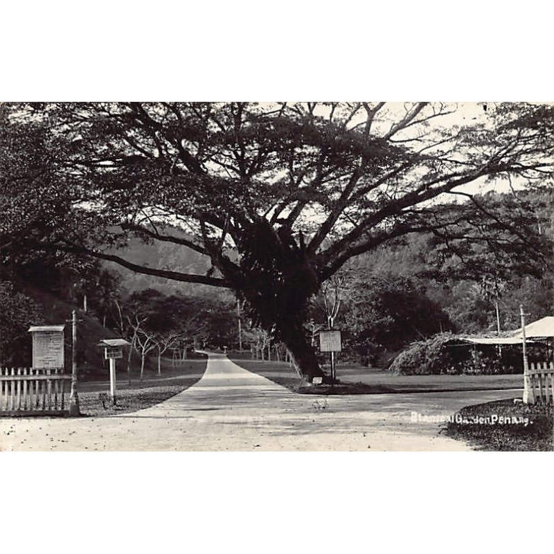 Rare collectable postcards of SINGAPORE. Vintage Postcards of SINGAPORE