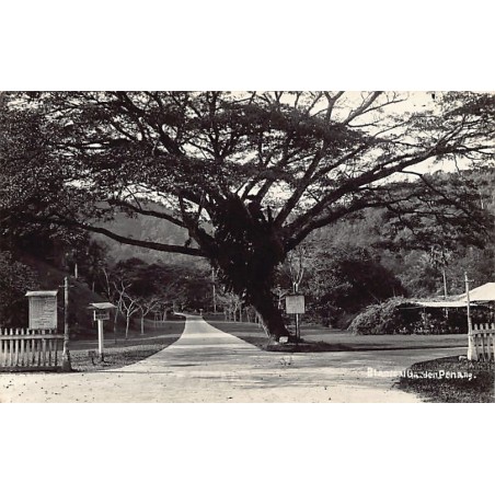 Rare collectable postcards of SINGAPORE. Vintage Postcards of SINGAPORE