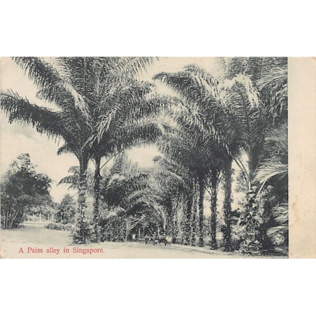 Rare collectable postcards of SINGAPORE. Vintage Postcards of SINGAPORE