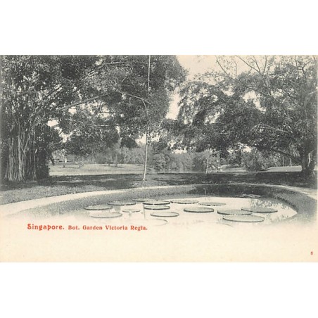 Rare collectable postcards of SINGAPORE. Vintage Postcards of SINGAPORE