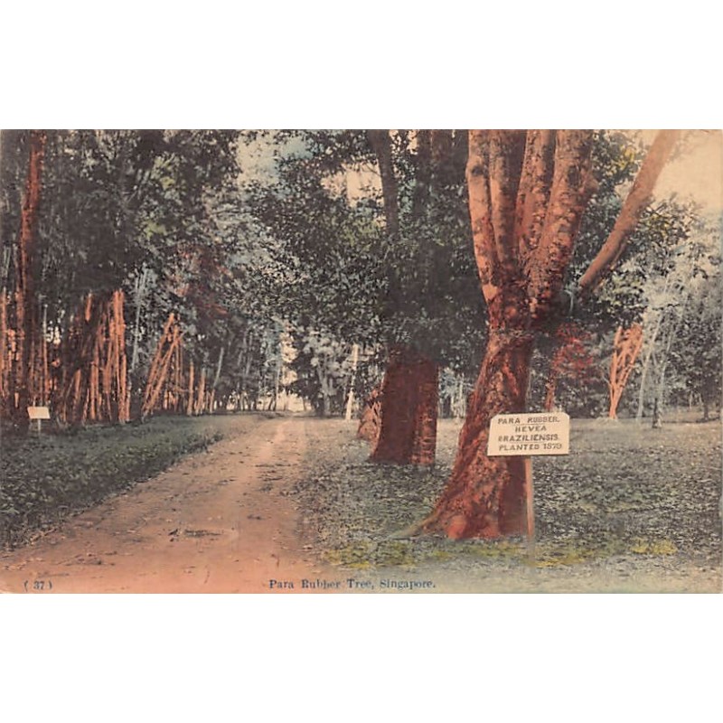 Rare collectable postcards of SINGAPORE. Vintage Postcards of SINGAPORE