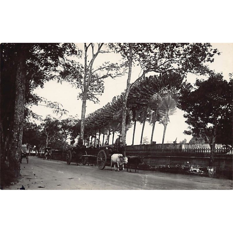 Rare collectable postcards of SINGAPORE. Vintage Postcards of SINGAPORE