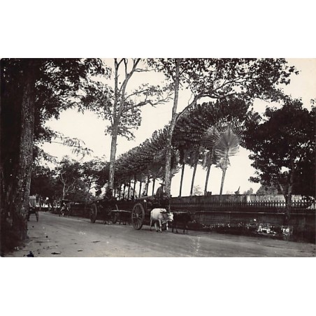 Rare collectable postcards of SINGAPORE. Vintage Postcards of SINGAPORE