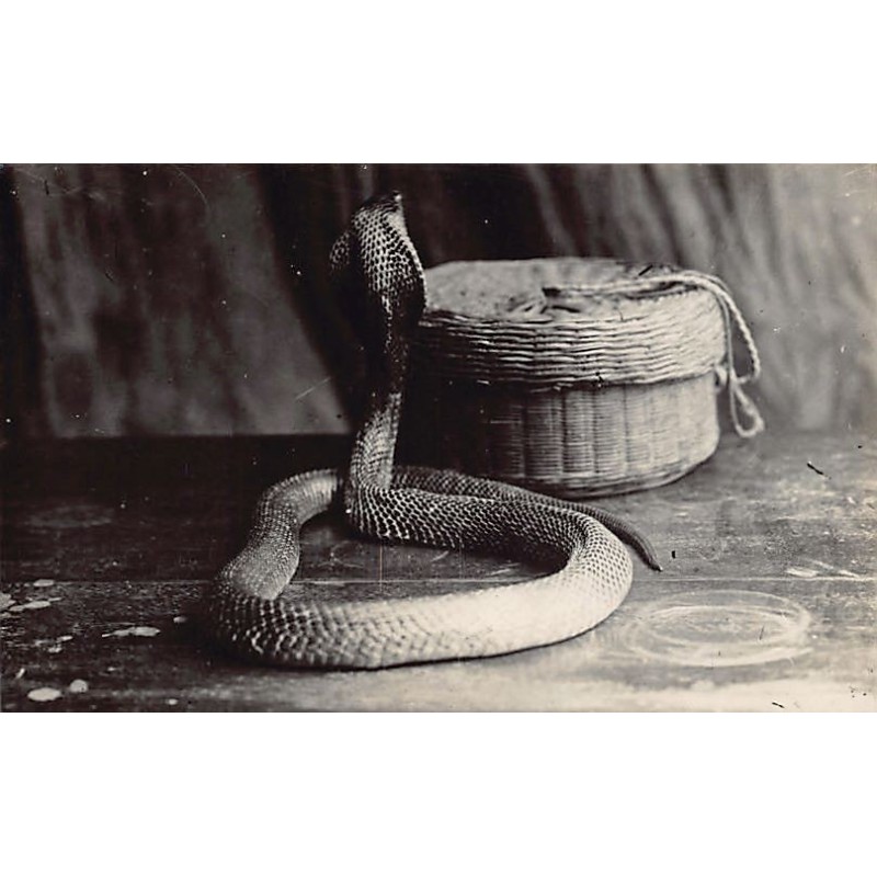 Rare collectable postcards of SINGAPORE. Vintage Postcards of SINGAPORE