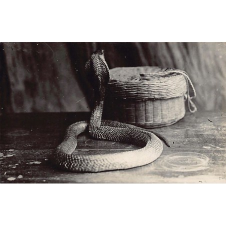 Rare collectable postcards of SINGAPORE. Vintage Postcards of SINGAPORE