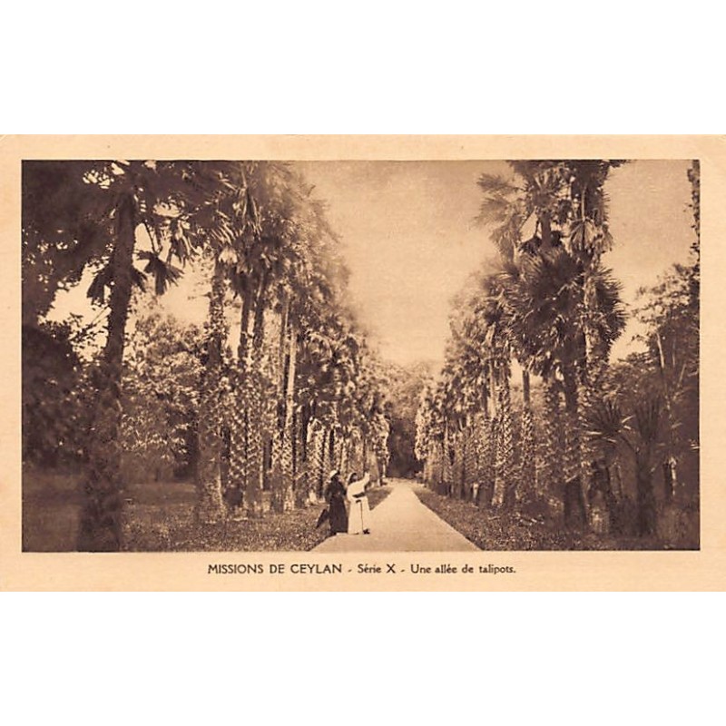 Rare collectable postcards of SRI LANKA. Vintage Postcards of SRI LANKA