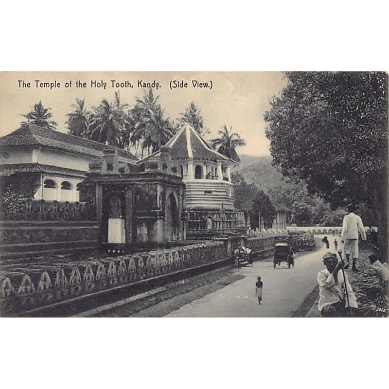 Rare collectable postcards of SRI LANKA. Vintage Postcards of SRI LANKA