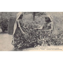 Rare collectable postcards of SRI LANKA. Vintage Postcards of SRI LANKA