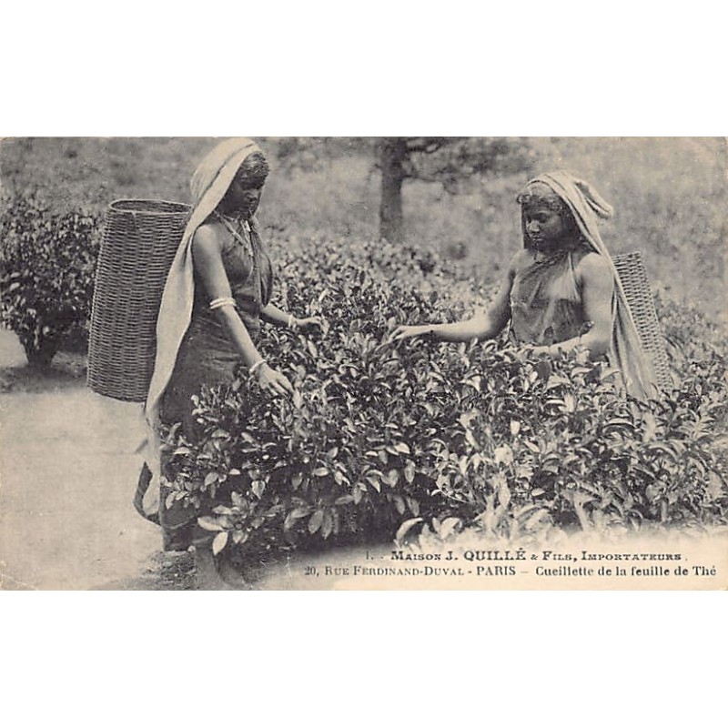 Rare collectable postcards of SRI LANKA. Vintage Postcards of SRI LANKA