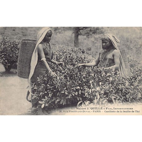 Rare collectable postcards of SRI LANKA. Vintage Postcards of SRI LANKA