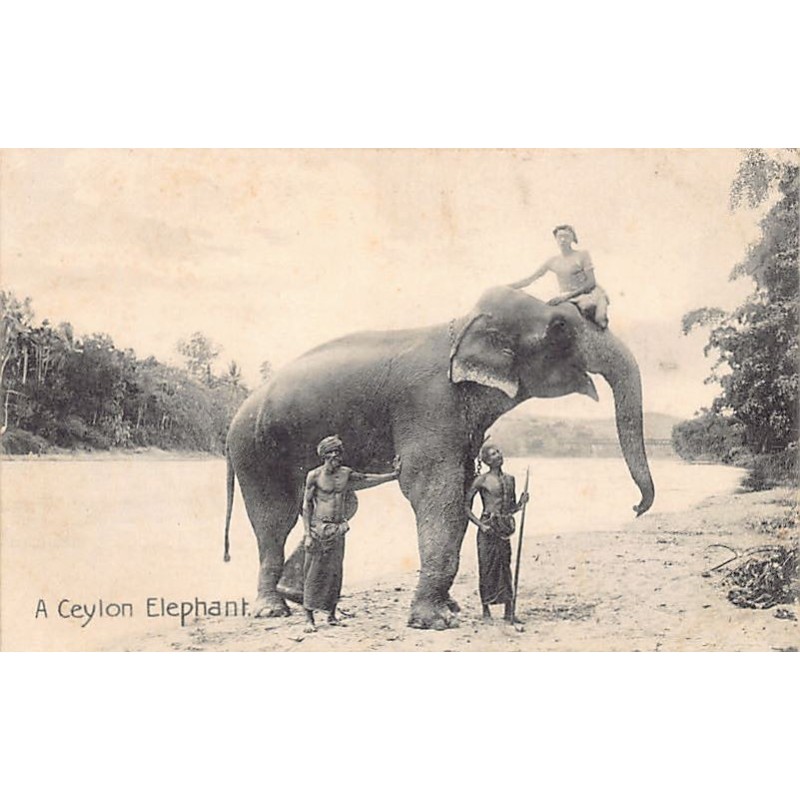 Rare collectable postcards of SRI LANKA. Vintage Postcards of SRI LANKA