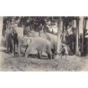 Rare collectable postcards of SRI LANKA. Vintage Postcards of SRI LANKA