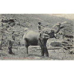 Rare collectable postcards of SRI LANKA. Vintage Postcards of SRI LANKA