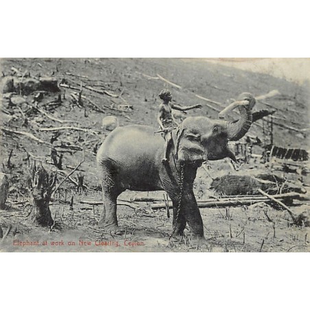 Rare collectable postcards of SRI LANKA. Vintage Postcards of SRI LANKA