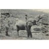 Rare collectable postcards of SRI LANKA. Vintage Postcards of SRI LANKA