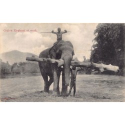 Rare collectable postcards of SRI LANKA. Vintage Postcards of SRI LANKA