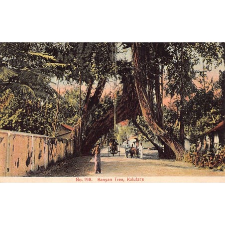 Rare collectable postcards of SRI LANKA. Vintage Postcards of SRI LANKA