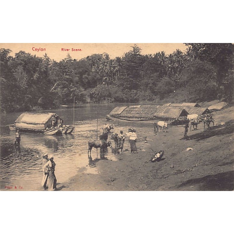 Rare collectable postcards of SRI LANKA. Vintage Postcards of SRI LANKA