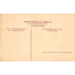 Rare collectable postcards of SRI LANKA. Vintage Postcards of SRI LANKA