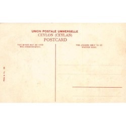 Rare collectable postcards of SRI LANKA. Vintage Postcards of SRI LANKA