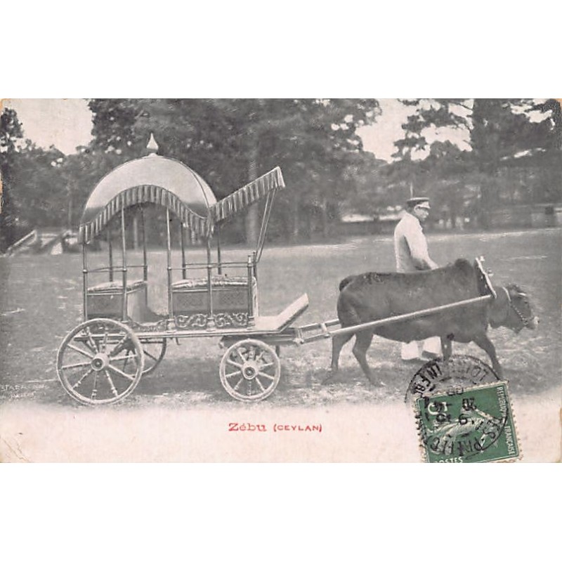 Rare collectable postcards of SRI LANKA. Vintage Postcards of SRI LANKA