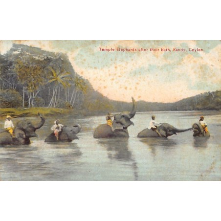 Rare collectable postcards of SRI LANKA. Vintage Postcards of SRI LANKA