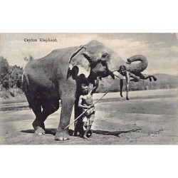 Rare collectable postcards of SRI LANKA. Vintage Postcards of SRI LANKA