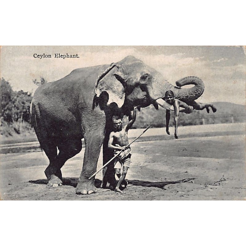 Rare collectable postcards of SRI LANKA. Vintage Postcards of SRI LANKA