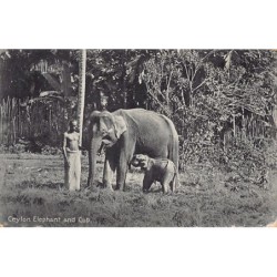 Rare collectable postcards of SRI LANKA. Vintage Postcards of SRI LANKA