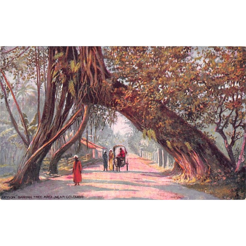 Rare collectable postcards of SRI LANKA. Vintage Postcards of SRI LANKA