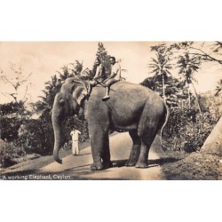 Rare collectable postcards of SRI LANKA. Vintage Postcards of SRI LANKA