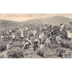 Rare collectable postcards of SRI LANKA. Vintage Postcards of SRI LANKA