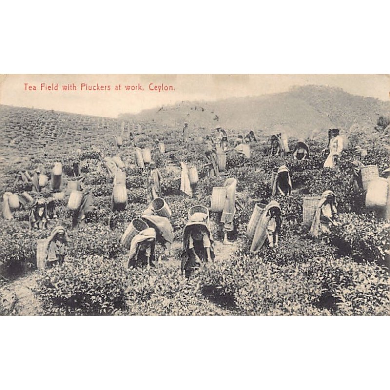 Rare collectable postcards of SRI LANKA. Vintage Postcards of SRI LANKA