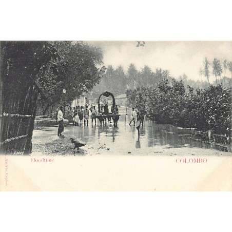 Rare collectable postcards of SRI LANKA. Vintage Postcards of SRI LANKA