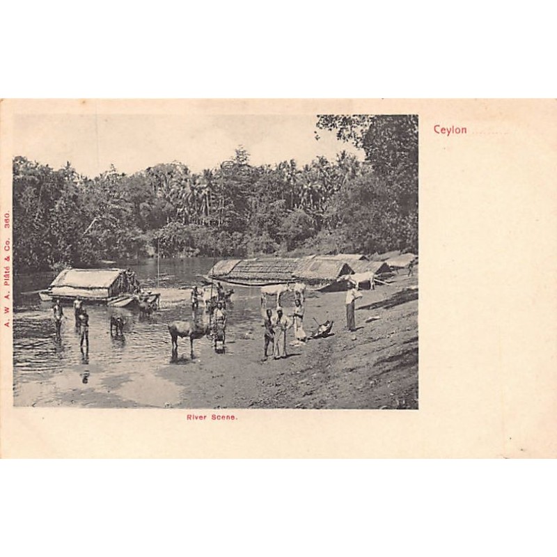 Rare collectable postcards of SRI LANKA. Vintage Postcards of SRI LANKA