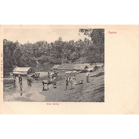 Rare collectable postcards of SRI LANKA. Vintage Postcards of SRI LANKA