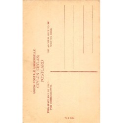 Rare collectable postcards of SRI LANKA. Vintage Postcards of SRI LANKA