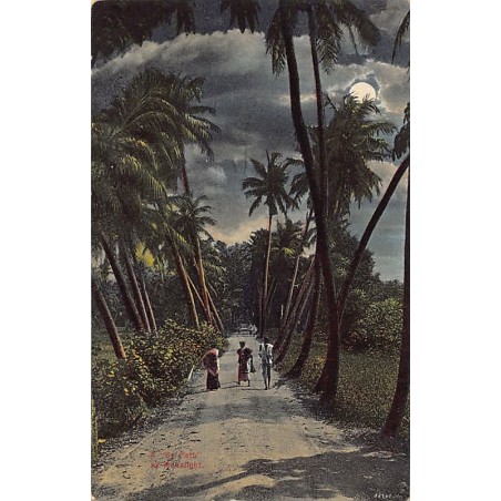 Rare collectable postcards of SRI LANKA. Vintage Postcards of SRI LANKA