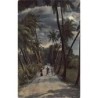 Rare collectable postcards of SRI LANKA. Vintage Postcards of SRI LANKA