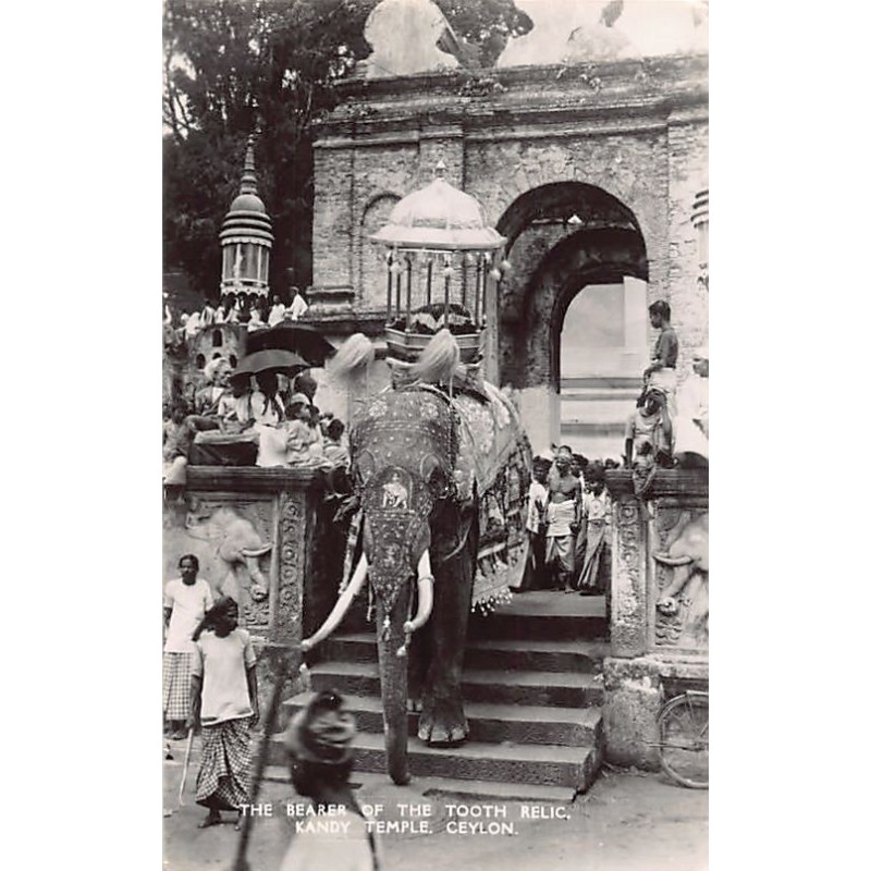 Rare collectable postcards of SRI LANKA. Vintage Postcards of SRI LANKA