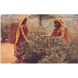 Rare collectable postcards of SRI LANKA. Vintage Postcards of SRI LANKA