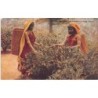 Rare collectable postcards of SRI LANKA. Vintage Postcards of SRI LANKA