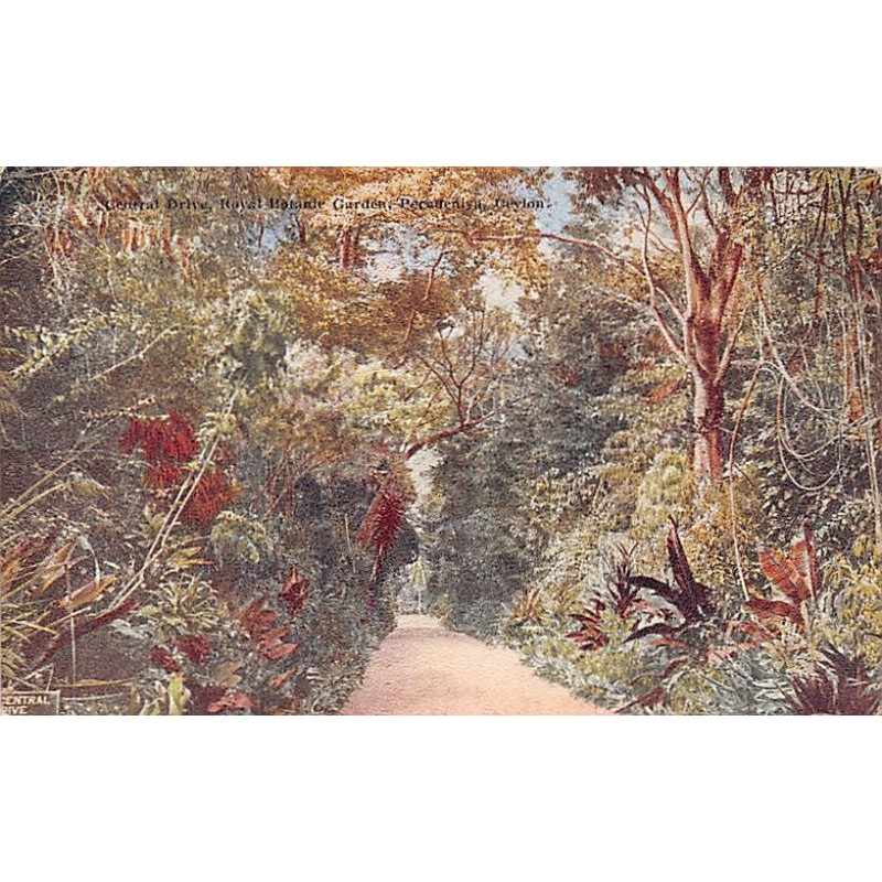 Rare collectable postcards of SRI LANKA. Vintage Postcards of SRI LANKA