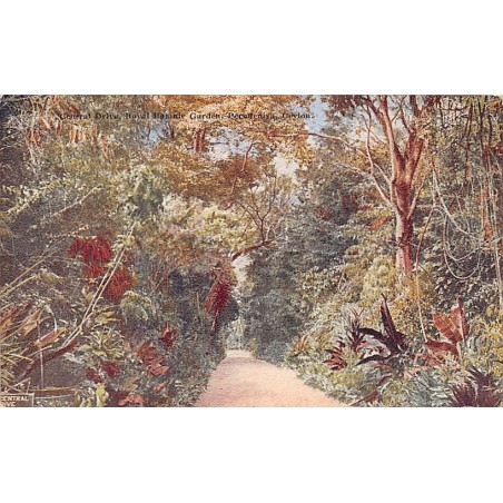 Rare collectable postcards of SRI LANKA. Vintage Postcards of SRI LANKA