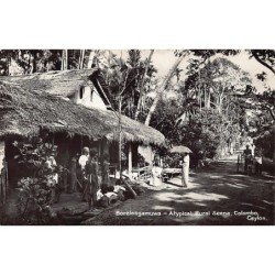 Rare collectable postcards of SRI LANKA. Vintage Postcards of SRI LANKA